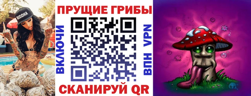 МЕГА tor  Бежецк  Псилоцибиновые грибы GOLDEN TEACHER 